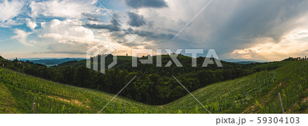 Panorama of Leibnitz area famous destination wine 59304103