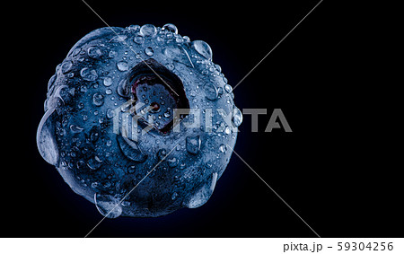One blueberry covered with water drops isolated on 59304256