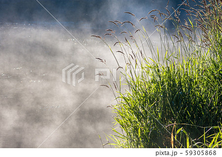 Steam above the water 59305868