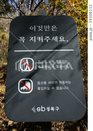 北朝鮮産 家庭菜園 菜園 59306112