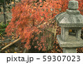 紅葉と灯篭 59307023