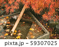 紅葉と竹菅 59307025