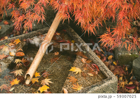紅葉と竹菅 紅葉と竹菅 59307025