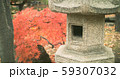 灯篭と紅葉 59307032