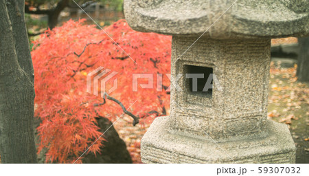 灯篭と紅葉 灯篭と紅葉 59307032