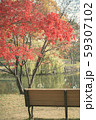 紅葉とベンチ 59307102