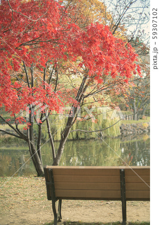 紅葉とベンチ 59307102