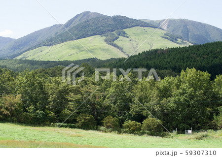 飯田高原の牧場から眺めた泉水山 59307310