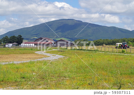 飯田高原の牧場と崩平山の眺め 59307311
