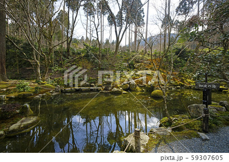 大原三千院 有清園弁天池 細波の滝 大原三千院 有清園弁天池 細波の滝 59307605
