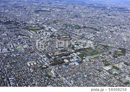 郊外の住宅地／武蔵野市上空 59309250
