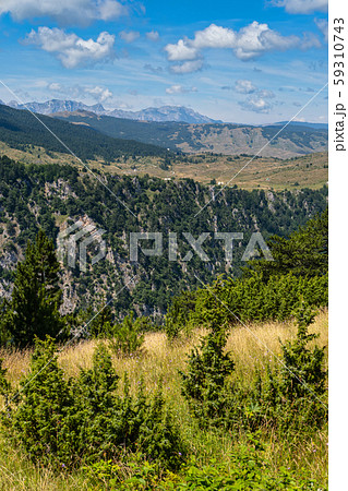 Summer Tara Canyon in mountain Durmitor National Summer Tara Canyon in mountain Durmitor National 59310743