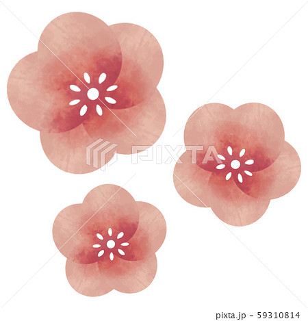 梅の花のイラスト素材