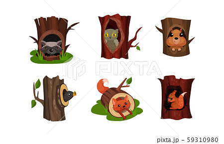 Adorable Little Birds And Animals Hidden In The Hollows Of Trees In A Park Or Forest Vector 59310980