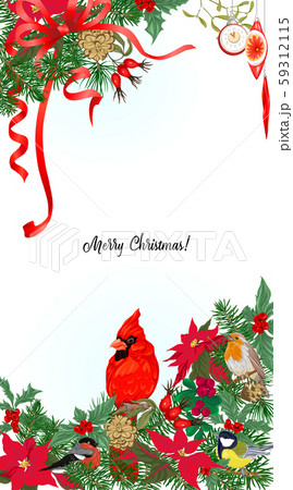 Cardinal bird and Christmas wreath 59312115