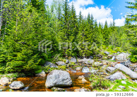 Jizera river full of granite rocks on sunny summer day, Jizera Mountains, Czech Republic 59312666