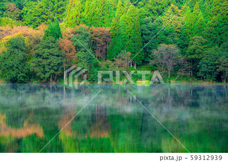 霧に包まれる中綱湖　【長野県】 59312939