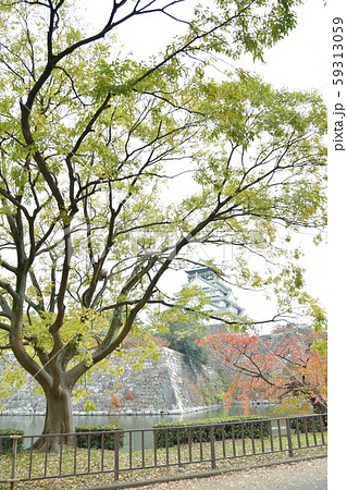 緑と紅葉とお城 緑と紅葉とお城 59313059