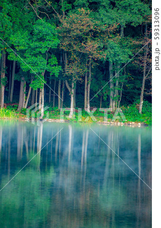 霧に包まれる中綱湖　【長野県】 59313096