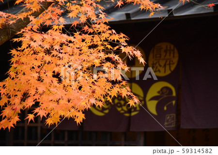 紅葉したもみじの葉とのれん 59314582