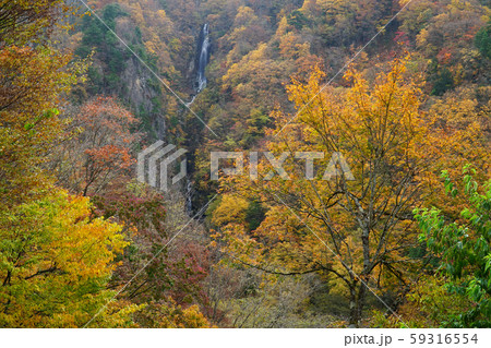 八滝の紅葉 59316554