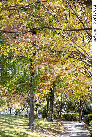 黄檗公園 59317652