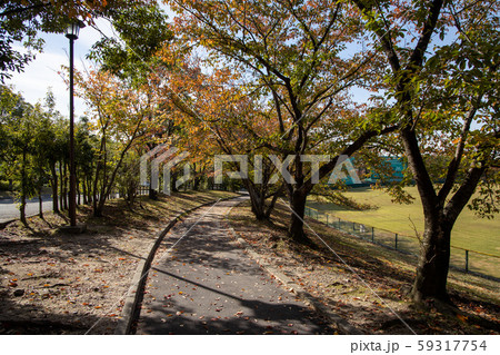 黄檗公園 黄檗公園 59317754