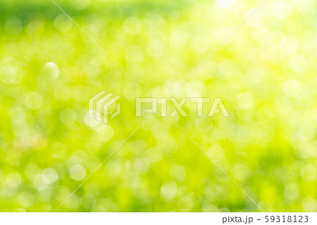 Natural green blurred background. Natural green blurred background. 59318123