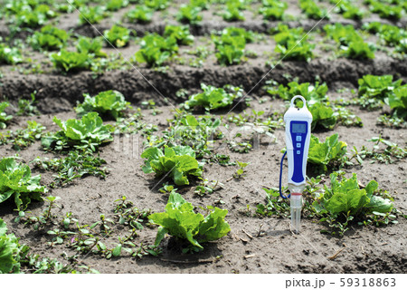 PH meter digital device pricked in the soil. PH meter digital device pricked in the soil. 59318863