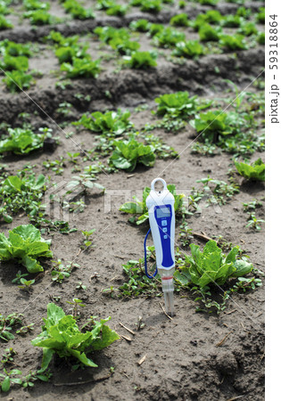 PH meter digital device pricked in the soil. 59318864