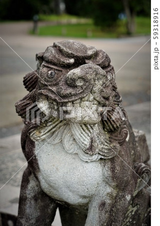 狛犬 狛犬 59318916