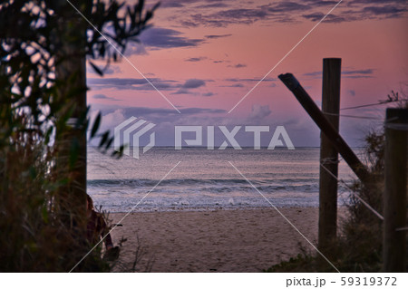 夕暮れのビーチ 59319372