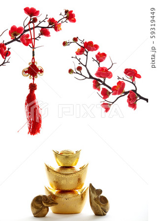 Chinese New Year decoration on white background 59319449