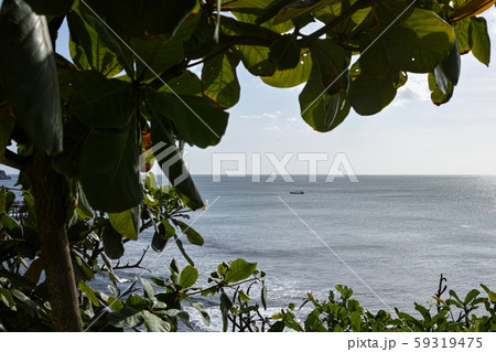 A beautiful sea view with ttropical plants 59319475