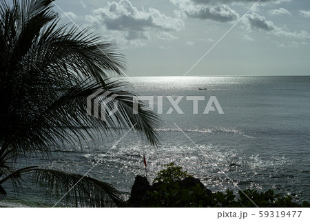 A beautiful sea view with ttropical plants 59319477