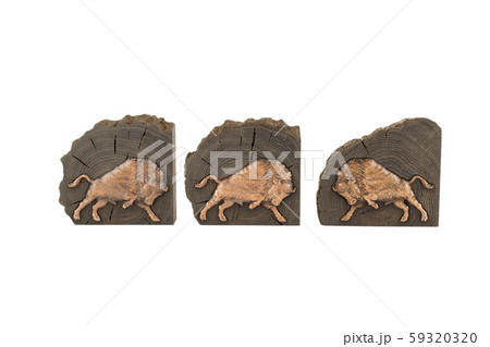 A handmade oak souvenir, an oak texture with 59320320