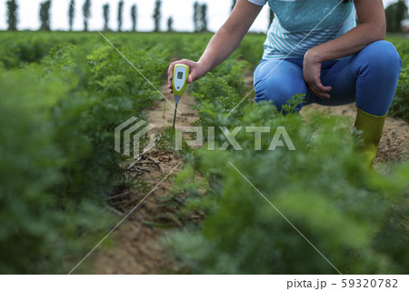 Measure soil with digital device. Green plants and 59320782