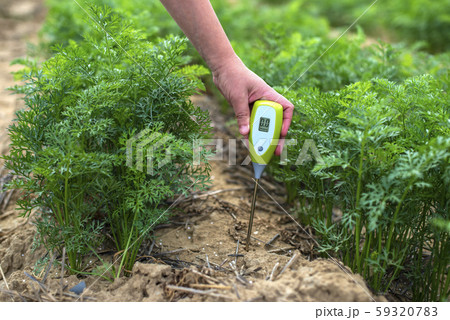 Measure soil with digital device. Green plants and 59320783