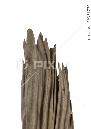 Product from the roots of oak in white background. Product from the roots of oak in white background. 59321776