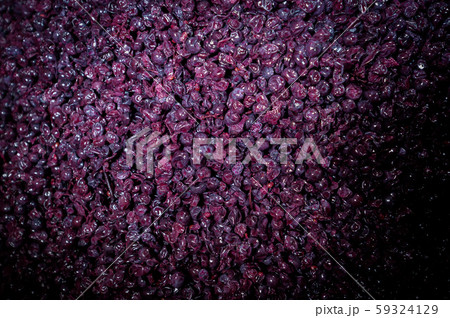 Wine mixing during fermentation process in barrel, Bordeaux Vineyard 59324129
