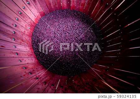 Wine mixing during fermentation process in barrel, Bordeaux Vineyard 59324135