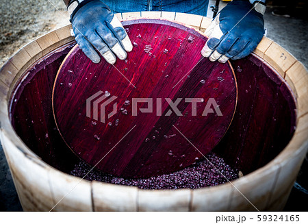 Wine mixing during fermentation process in barrel, Bordeaux Vineyard 59324165