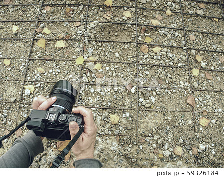 Tourist woman take the picture of yellow leaves 59326184