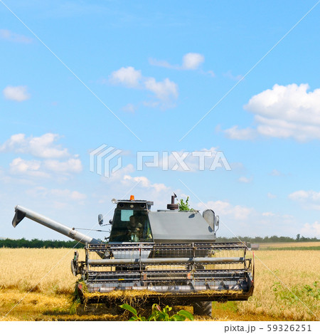 Harvester machine working in field . Harvester machine working in field . 59326251
