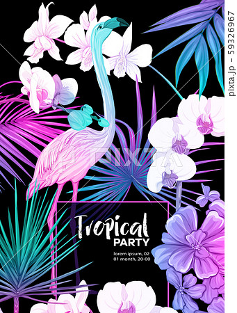 Background, party invitation, cover with text box  59326967