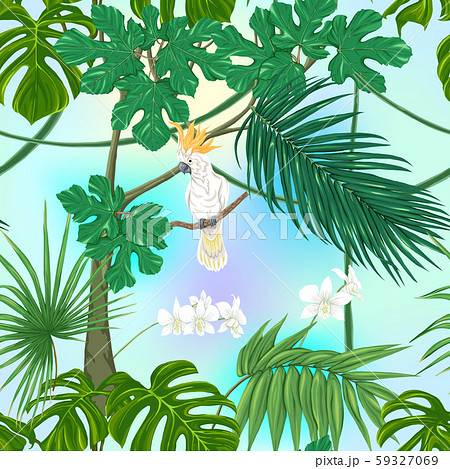 Seamless pattern, background. with tropical plants Seamless pattern, background. with tropical plants 59327069