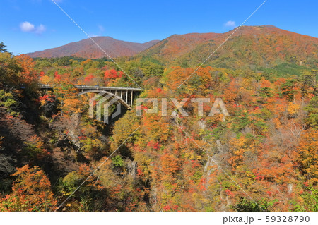 【宮城県】朝日を浴びる鳴子峡の紅葉 59328790