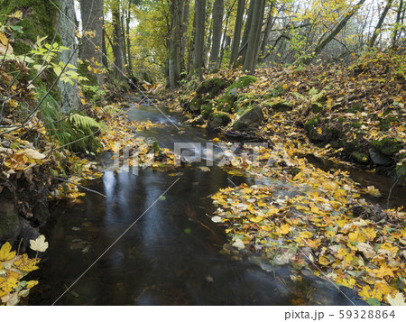 Long exposure magic forest stream cascade creek in 59328864