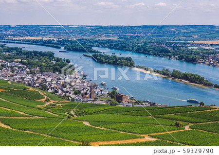 Panorama of the middle Rhine River valley with beautiful vineyards sloping down to a distant 59329790