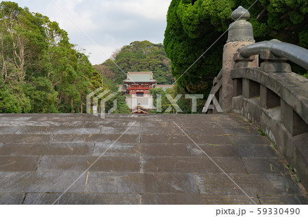 鶴岡八幡宮 鶴岡八幡宮 59330490